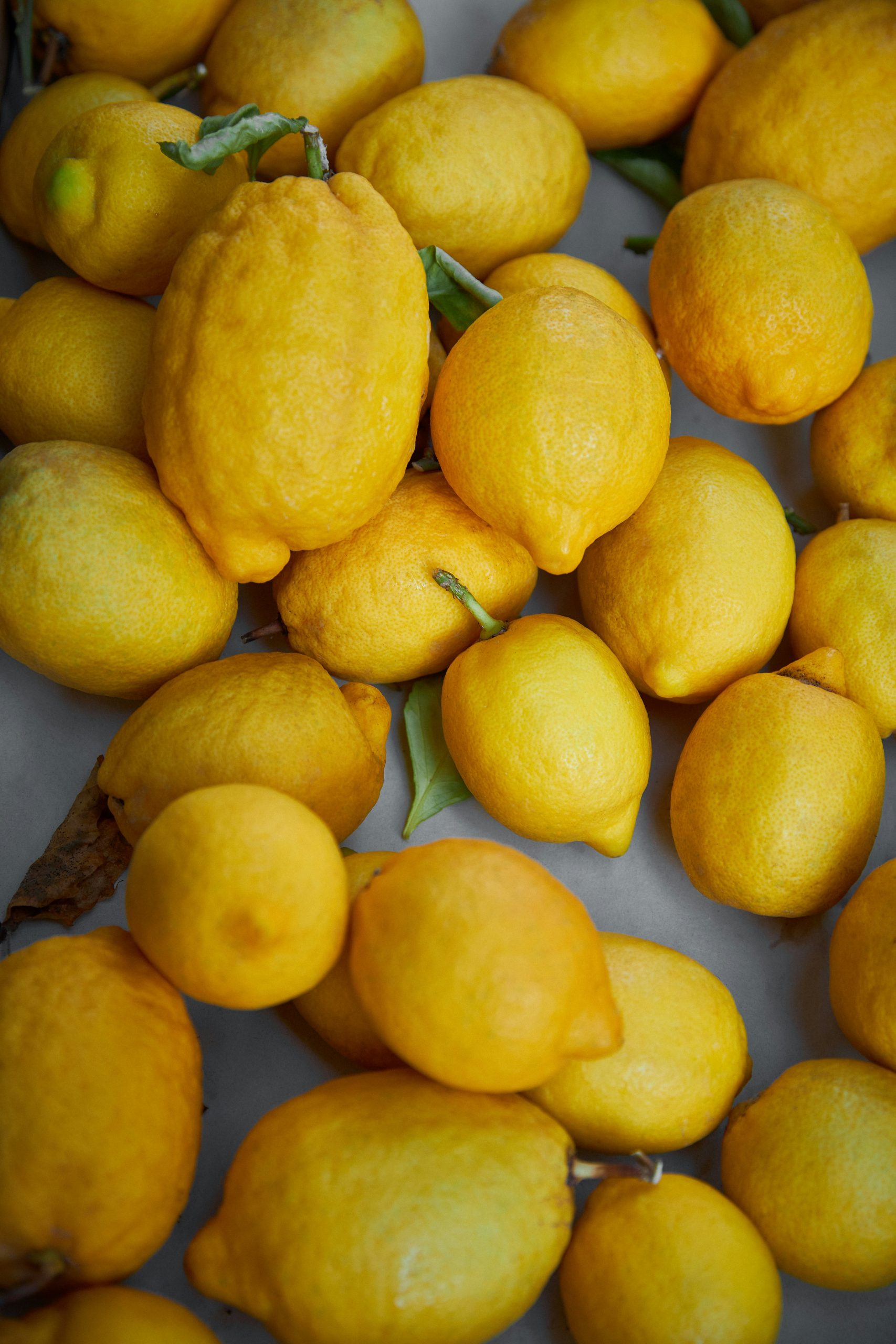 Recipes for When Life Gives You Lemons