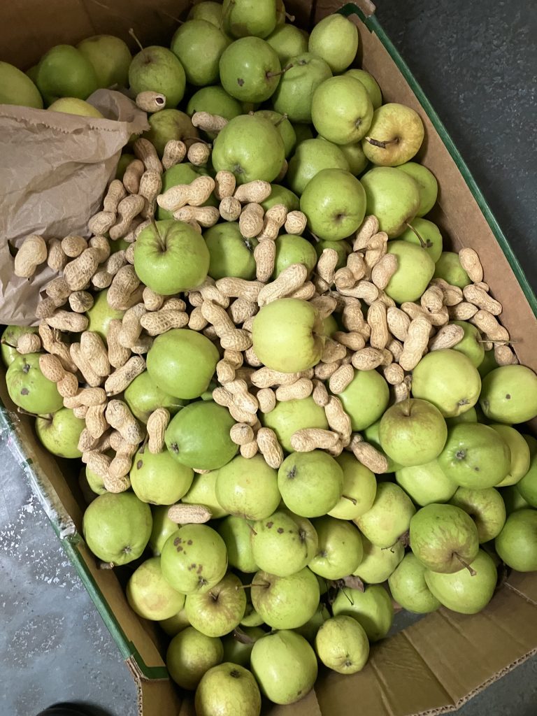 Apples and monkey nuts