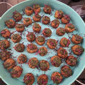 Christmas Canapés Class